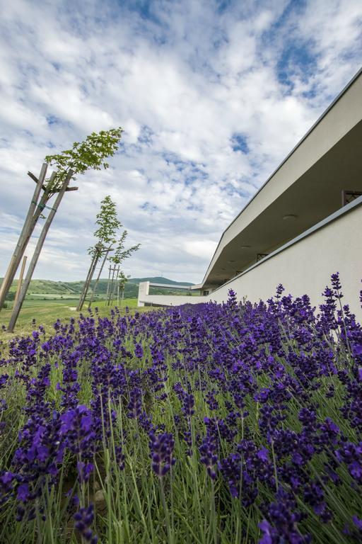 Henye Vendeghaz Hotel Bodrogkeresztur Exterior foto